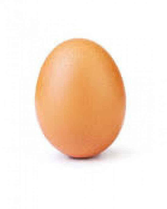 oeufs bio