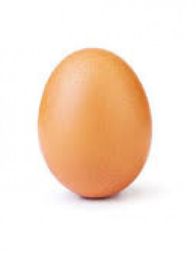 oeufs bio